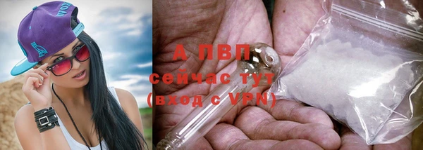 спиды Армянск