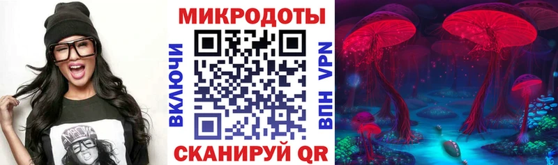 Галлюциногенные грибы мухоморы наркотики Славгород